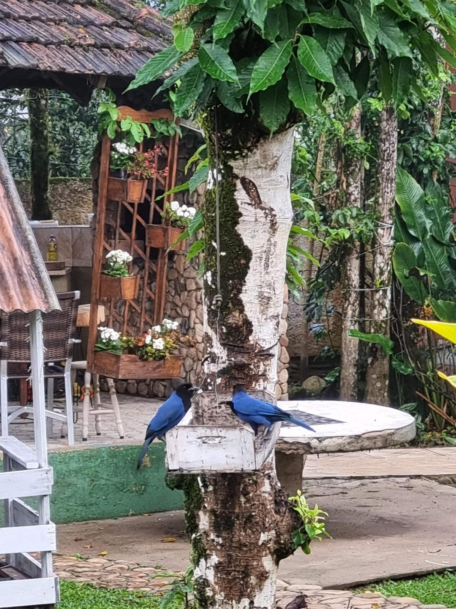 Pousada Siroba Beira Rio Apartment Morretes Luaran gambar